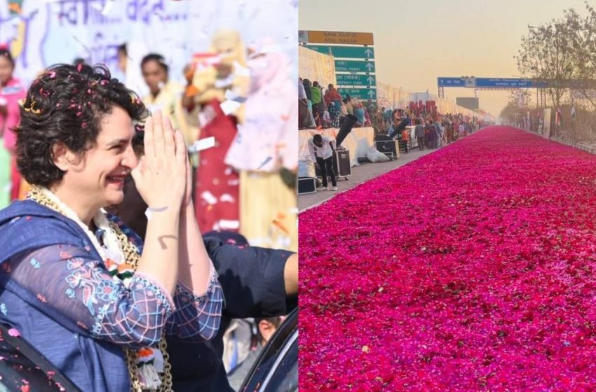  प्रियंका गांधी के स्वागत में सड़क पर बिछा दी गई पंखुड़ियां