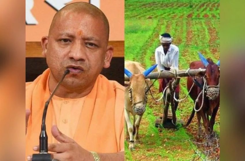  किसानों और उनके परिजनों को संबल दे रही मुख्यमंत्री कृषक दुर्घटना कल्याण योजना
