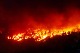  कनाडा के जंगल में लगी आग बेकाबू, 17 हजार से अधिक लोगों का पलायन