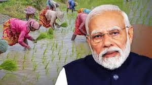  जाने क्या है केंद्र की प्रधानमंत्री धन-धान्य कृषि योजना,किसानों को होगा कितना लाभ  