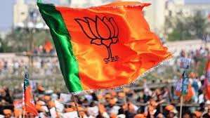  नई कार्यकारिणी की जल्द होगी घोषणा, संगठन को मिलेंगे नए उपाध्यक्ष और मंत्री