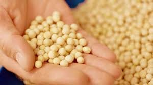 एक नवंबर से मटर के आयात पर 30% शुल्क