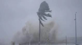  चक्रवात दित्वाह श्रीलंका में तबाही मचाने के बाद भारत की ओर बढ़ा, मूसलाधार बारिश-तेज हवाएं जारी