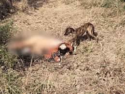  महिला की लाश को कुत्तों ने नोचा, मुकदमे की विवेचना कर रहे दरोगा ने मार डाला; ये है मामला