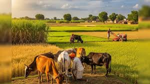  व्यापार और किसानों के हितों के बीच संतुलन का काम करेगा भारत अमेरिका समझौता