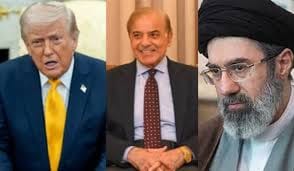  जंग पर आमादा दुनिया में शांति दूत के रूप में मुसलमान : इंशा वारसी