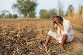  देश में हर घंटे एक किसान कर रहा आत्महत्या, एनसीआरबी ने जारी की रिपोर्ट