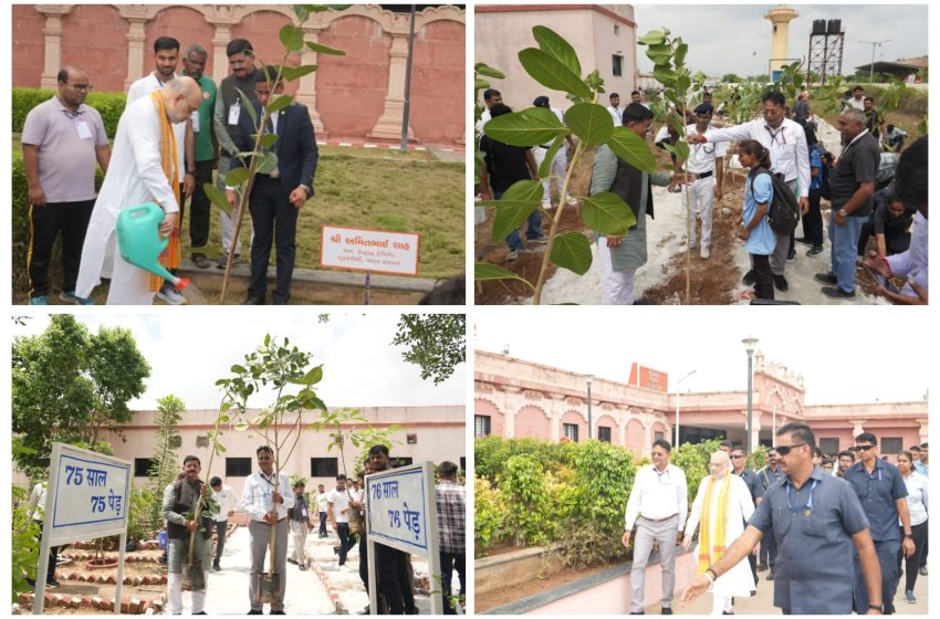 वडनगर रेलवे स्टेशन पर अमित शाह ने दिव्यांग बच्चों के साथ किया 76 पौधों का वृक्षारोपण